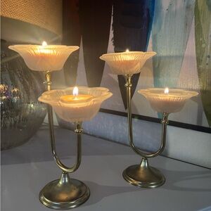 Elegant frosted glass flowers on brass stems